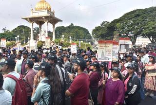 Tonga ride experience in Mysuru among tourism projects approved by Union  Minister - The Hindu