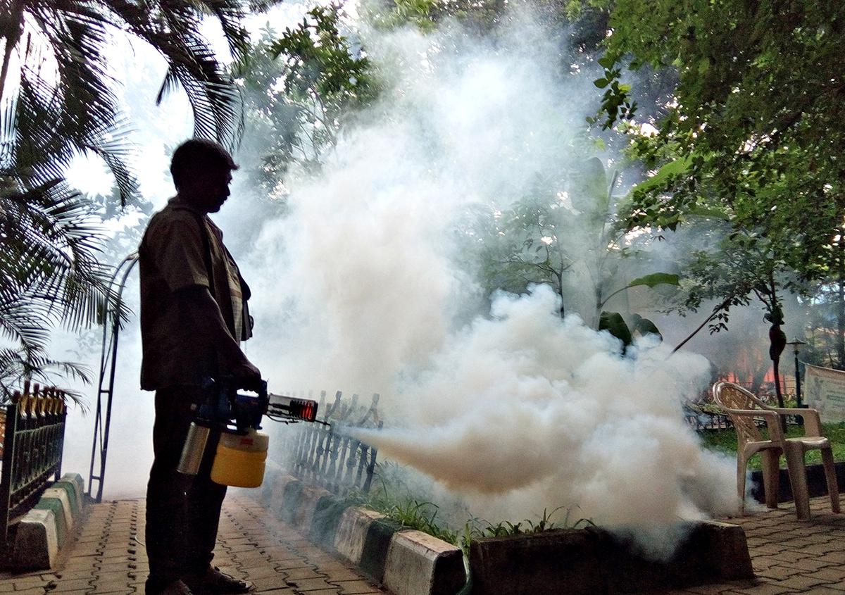 Significant risk found even in primary dengue infection, says study