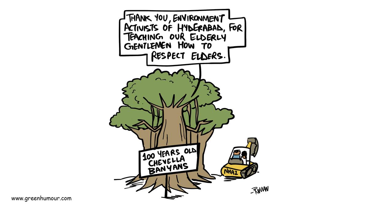 Hyderabad | Green Humour by Rohan Chakravarty on the temporary reprieve to the 100-year-old Chevella banyans