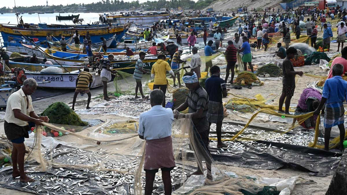 Annual fishing ban drives up fish prices in Ramanathapuram