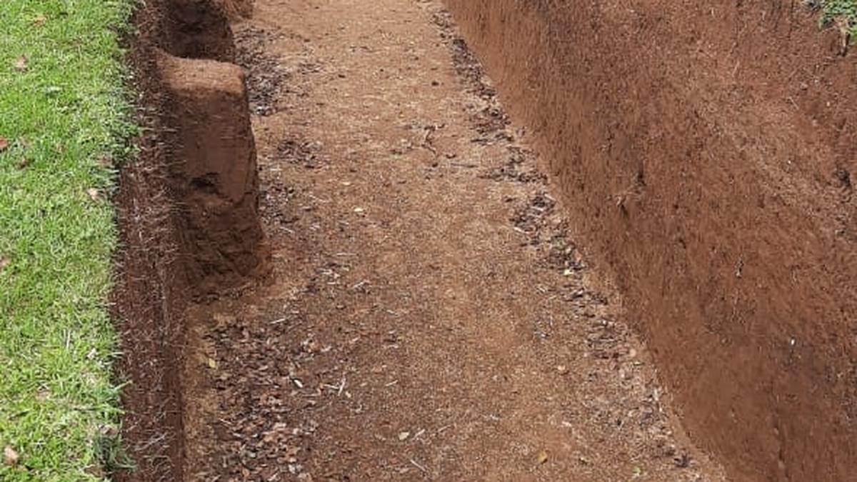 Experts call for expanding protected areas around Sigur elephant corridor