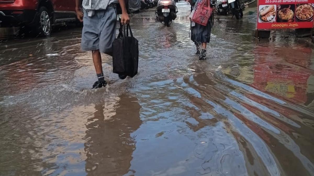 Nellore records highest rainfall in A.P. during last 24 hours