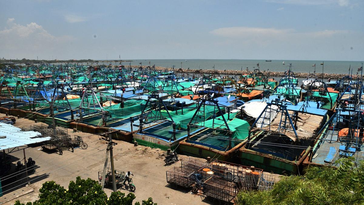 Tamil Nadu’s 61-day annual fishing ban begins on April 15