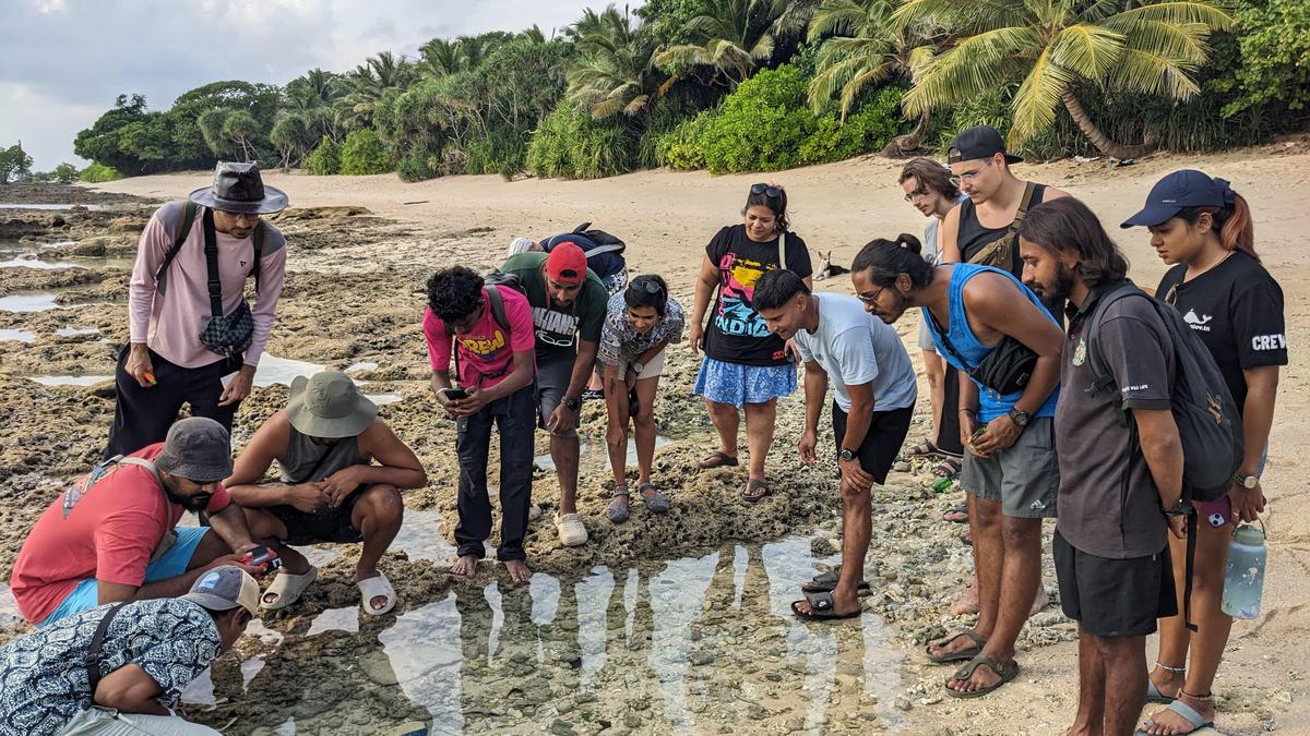 The first Intertidal Bioblitz uncovers marine wonders in India’s coasts