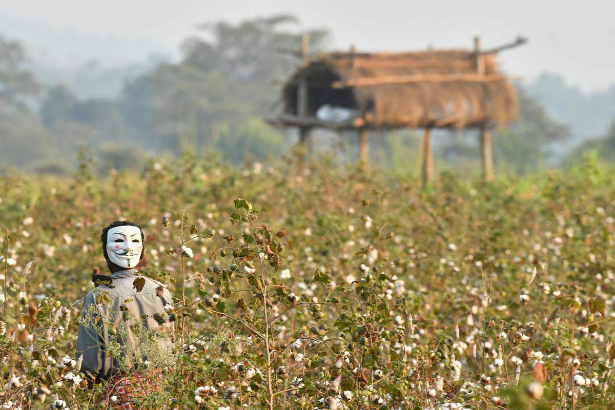 Efforts on to ensure safe passage for tiger which strayed from Maharashtra