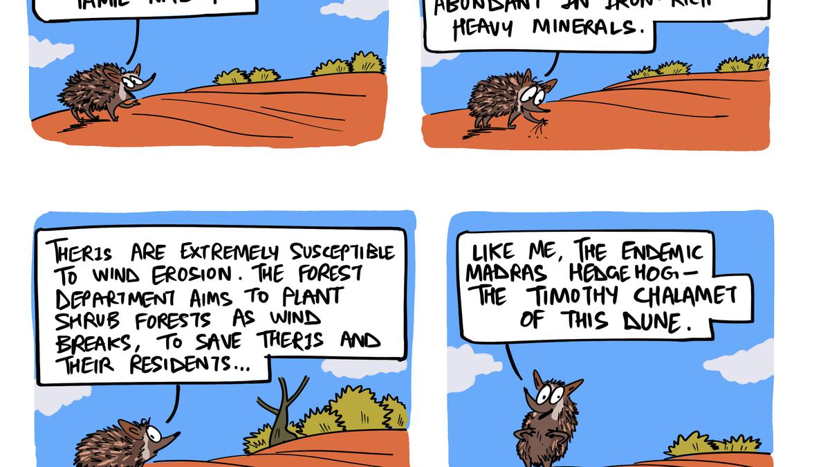 Green Humour by Rohan Chakravarty on the red sand dunes of Tamil Nadu, called ‘theri’