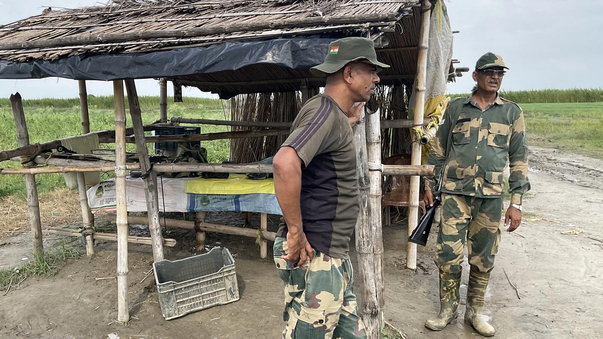 BSF deployment moved to zero line along Bangladesh border in Murshidabad