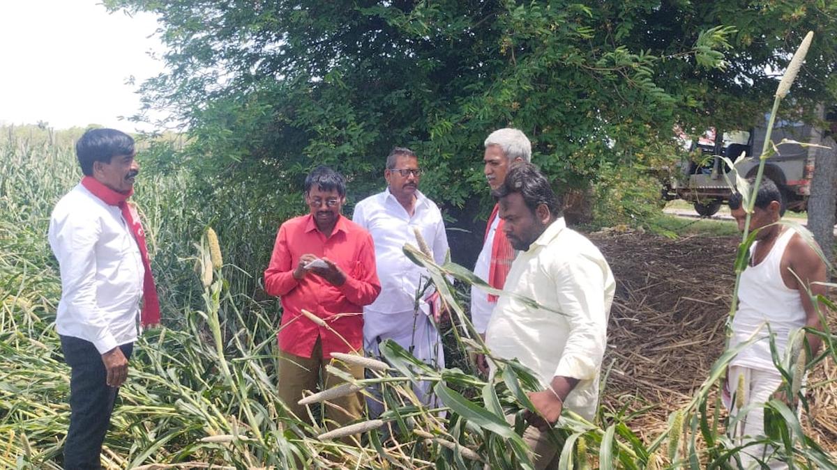 Rulers’ negligence turning Anantapur into a desert: CPI