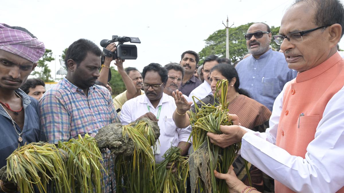 Compensation for crop loss will soon reach flood-hit farmers in Andhra Pradesh, says Union Agriculture Minister