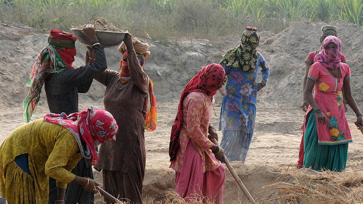 Plea on non-payment of MGNREGS wages in Supreme Court