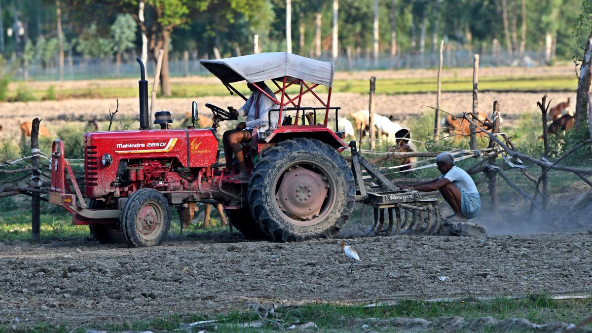 Rice production short of target in kharif season: Centre