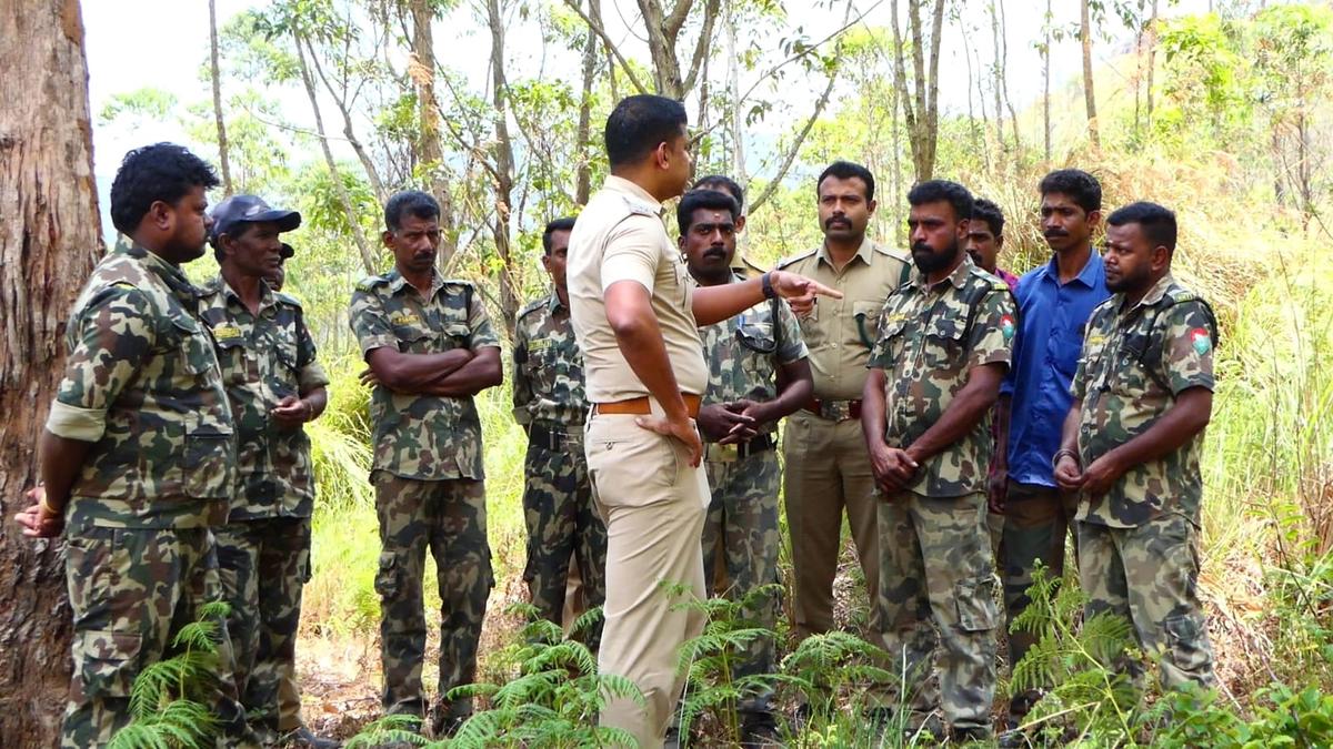 Special RRT begins at Chinnakkanal landscape to monitor wild elephants