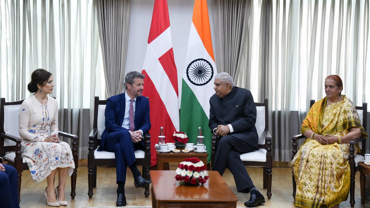 India, Denmark have strong, historic silver traditions: Danish Crown Prince
