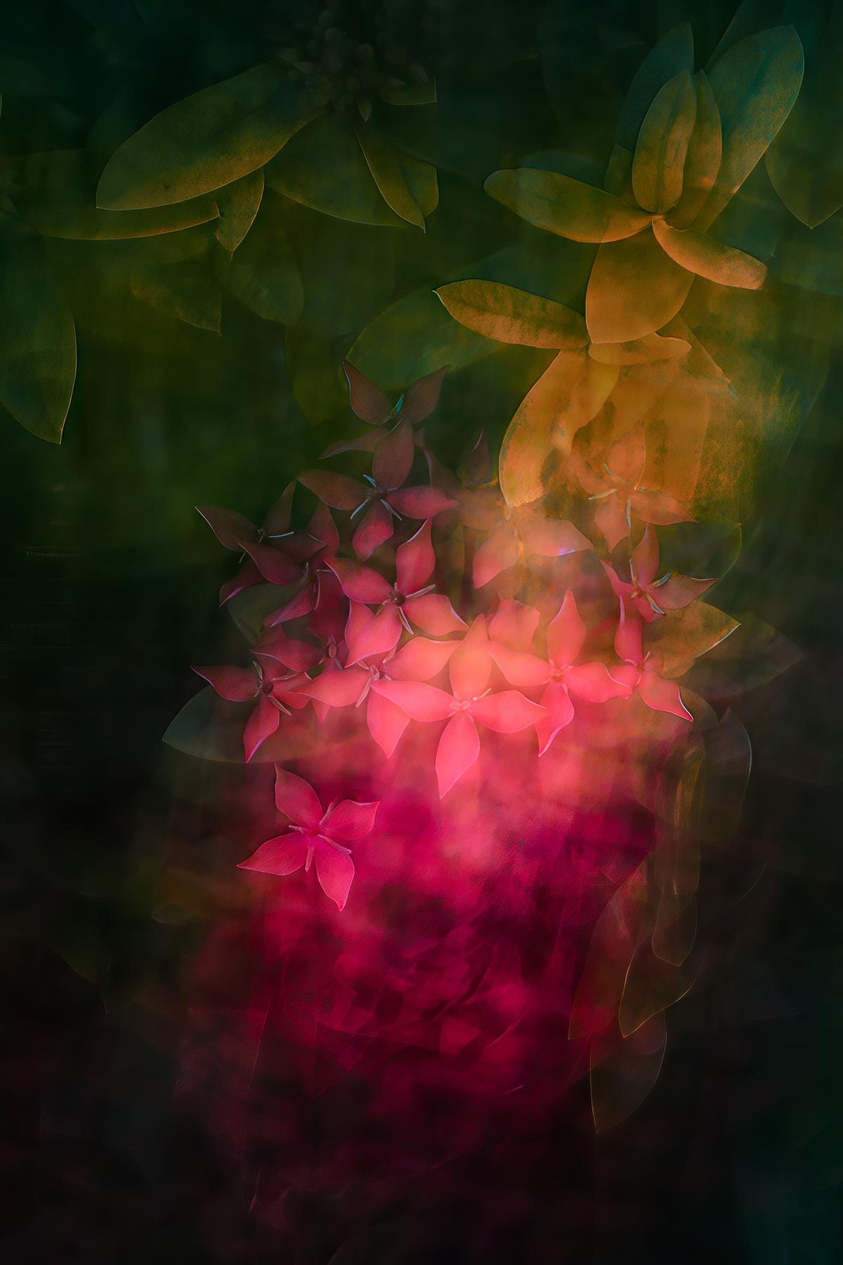 जोड़ियों से एक तस्वीर जोड़ियों से एक तस्वीर