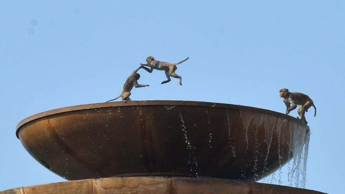 In a first since 2014, Delhi experiences heatwave-free May