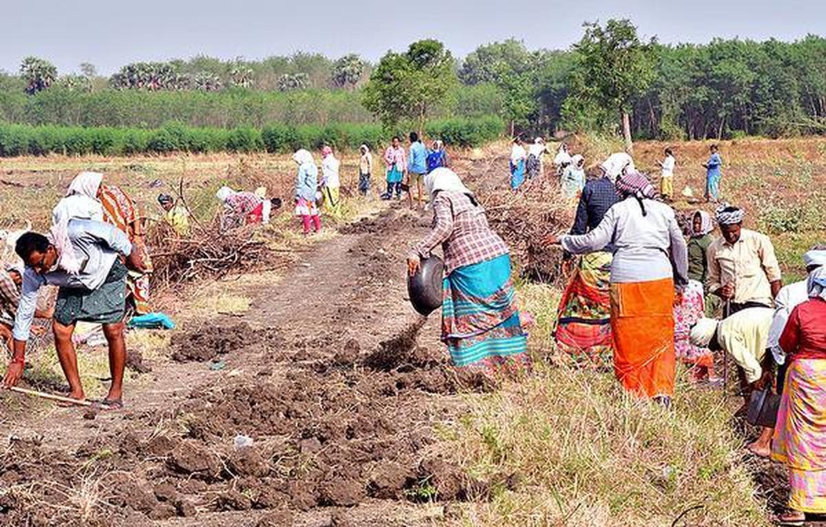 thehindu.com - Sobhana K. Nair - Economic Survey backs scrapping MGNREGS, cites structural flaws, strong rural economy