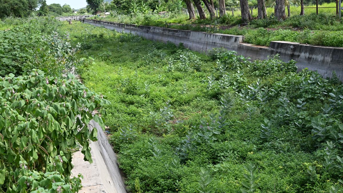 Salem farmers demand desilting of east and west bank canals