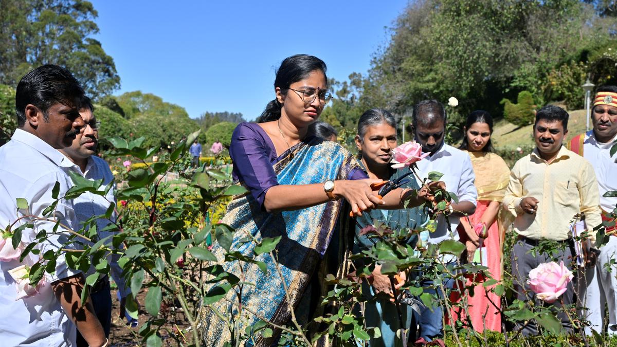 Where every flower at Udhagamandalam’s rose garden tells a story