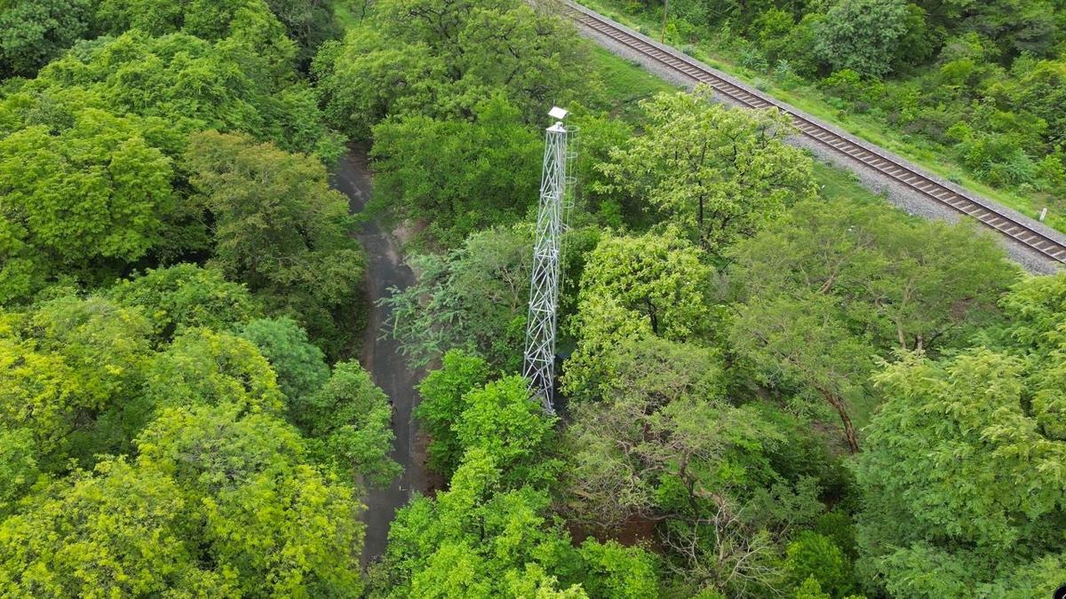 Tamil Nadu’s first AI-based early warning system getting ready for pachyderm safety near Coimbatore