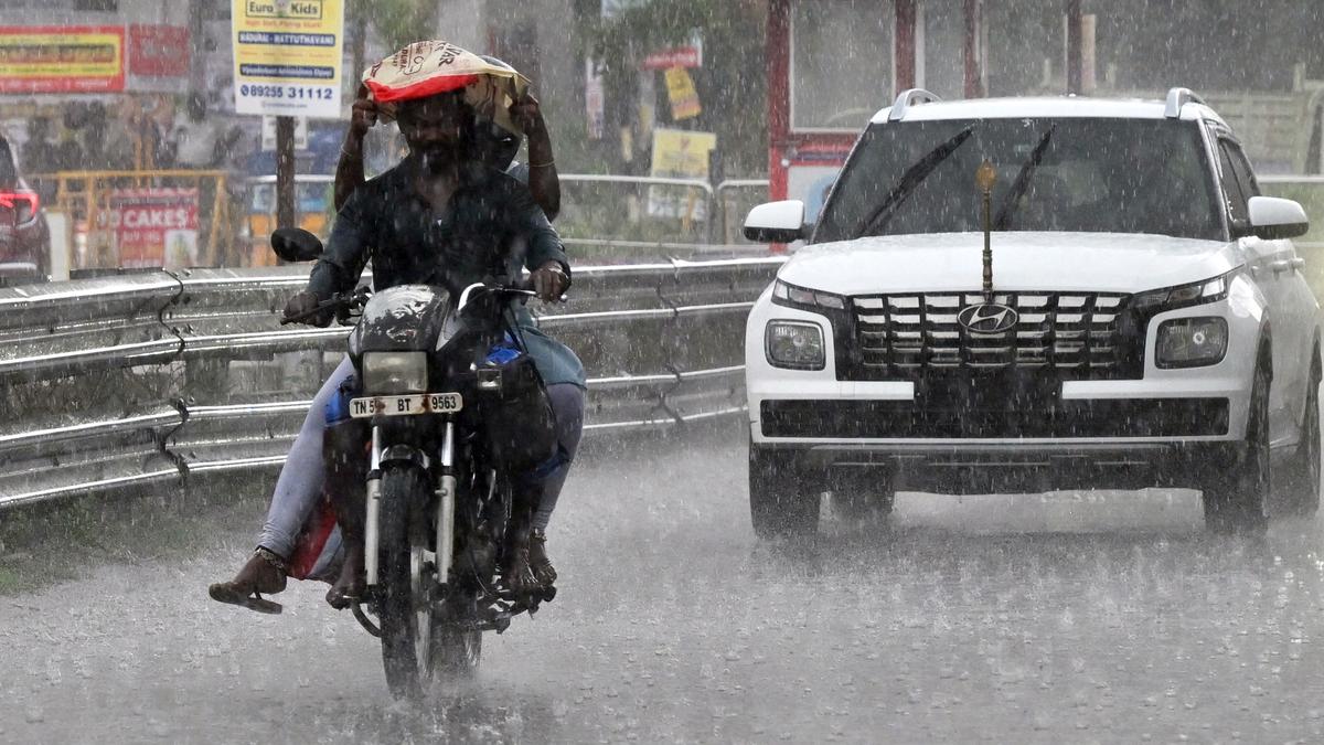 TN-Alert app will help in monsoon preparedness, say officials