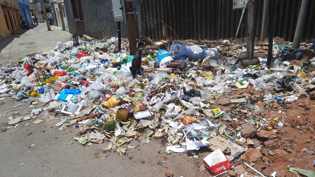 Stench from open dumping spot at Pappanaickenpalayam in Coimbatore worries residents