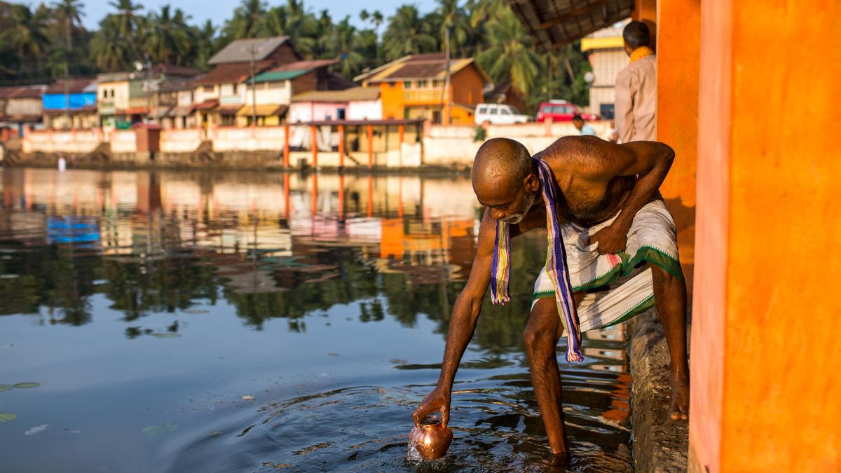 Story of mud and water | Review of Rising Sons by Kavery Nambisan