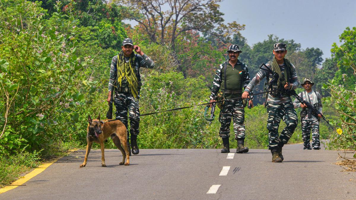 Naxalite leader killed by associates in Chhattsigarh's Kanker: police