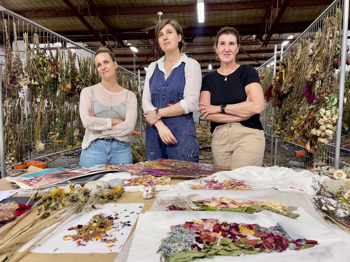Nina Sanadze (al centro) con i volontari che lavorano al progetto commemorativo della spiaggia di Bondi.