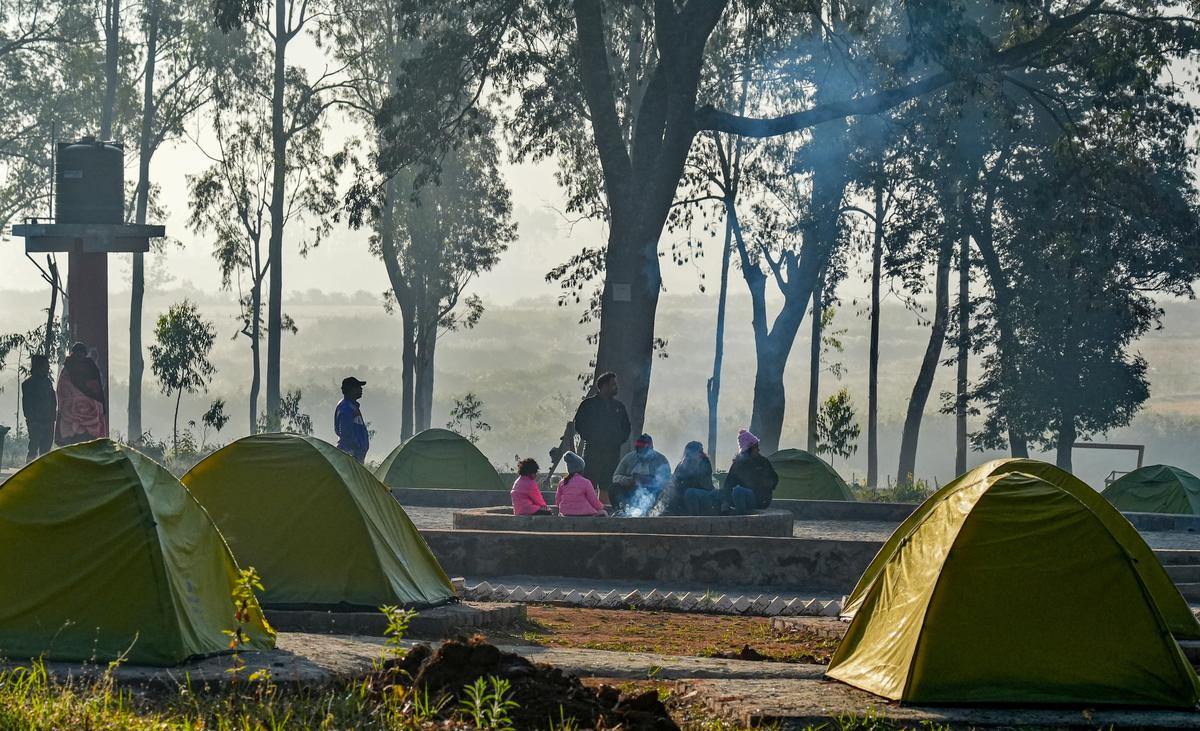 A view of the Araku Pinery, a new eco-tourism initiative started by the AP Forest Department and managed by the Van Sanrakshan Samiti of Shantinagar in Araku. A view of the Araku Pinery, a new eco-tourism initiative started by the AP Forest Department and managed by the Van Sanrakshan Samiti of Shantinagar in Araku.