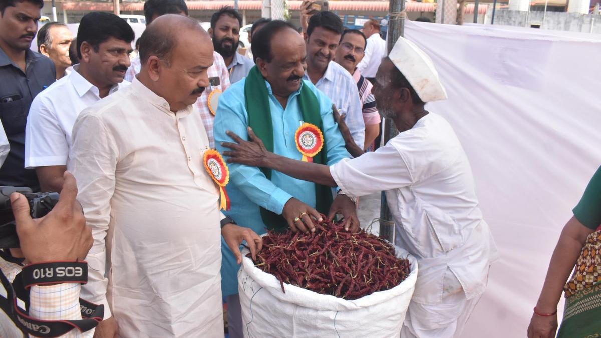Three-day Dry Chilli Mela begins in Hubballi