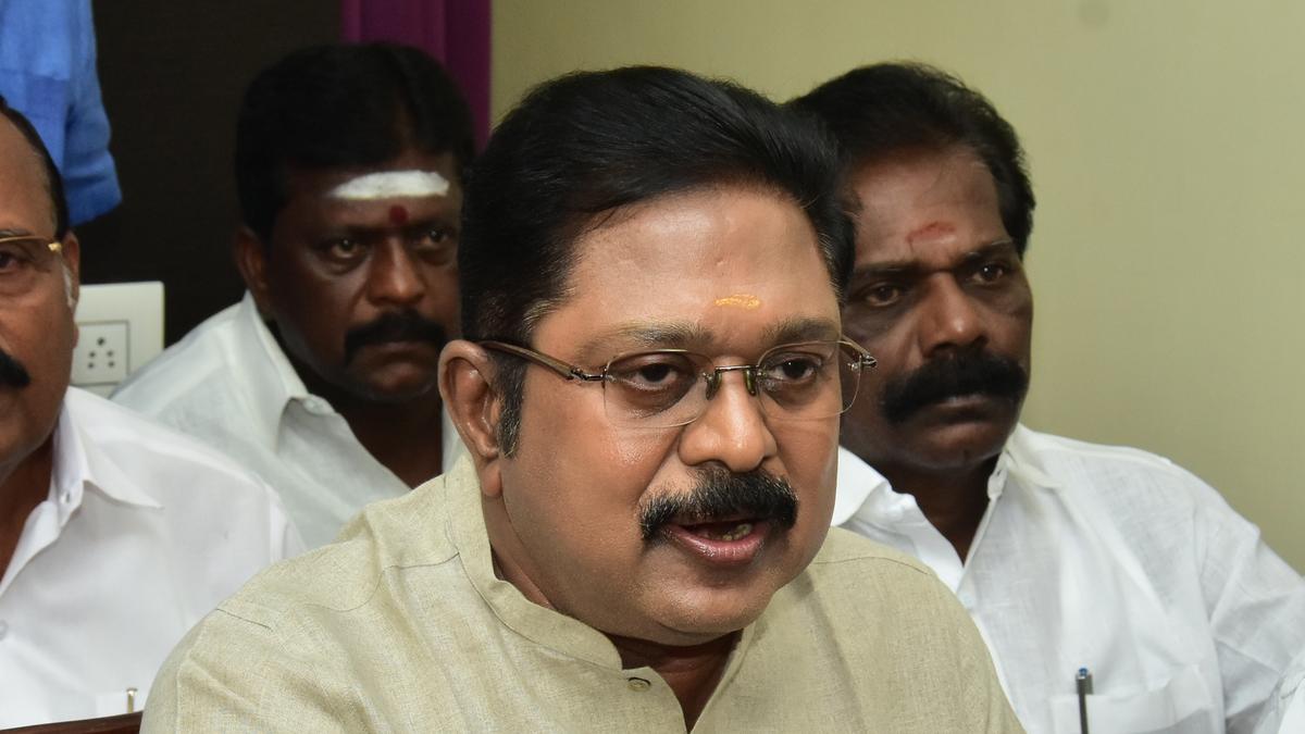 Dhinakaran asks T.N. govt. to ensure pay parity for doctors