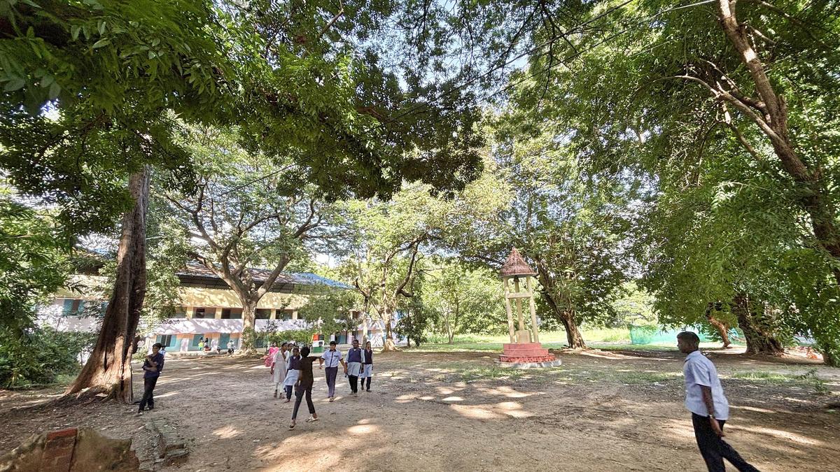 Calls for bringing Attakulangara school campus alive