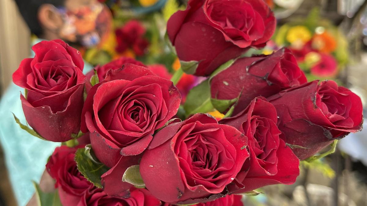 Bengaluru’s rose exports more than halve in five years, but domestic markets surge