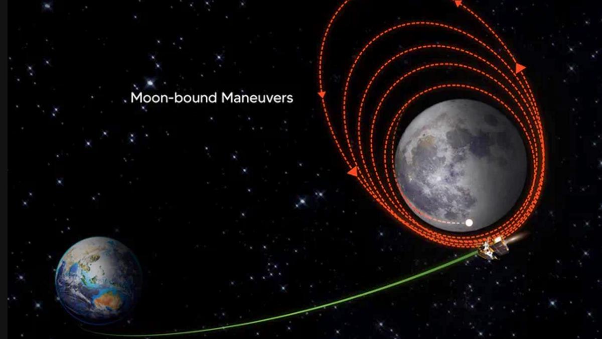 Science This Week | Chandrayaan-3 spacecraft enters lunar orbit, scientists find heaviest animal that may have ever lived and more
Premium