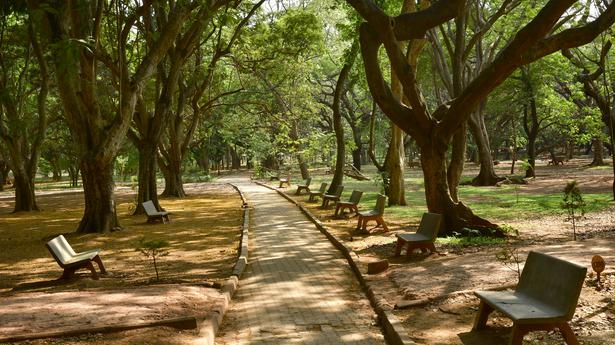 Walkers, activists oppose private projects in Cubbon Park