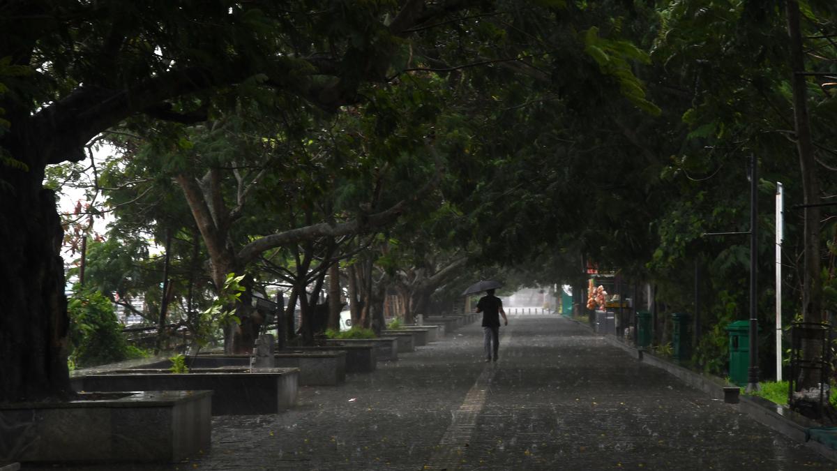 Kerala has received 65% deficit rainfall so far during monsoon: IMD