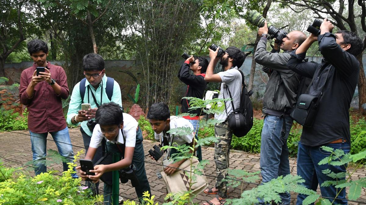 Young Birders’ Month 2025: Nationwide initiative for children to explore India’s birds