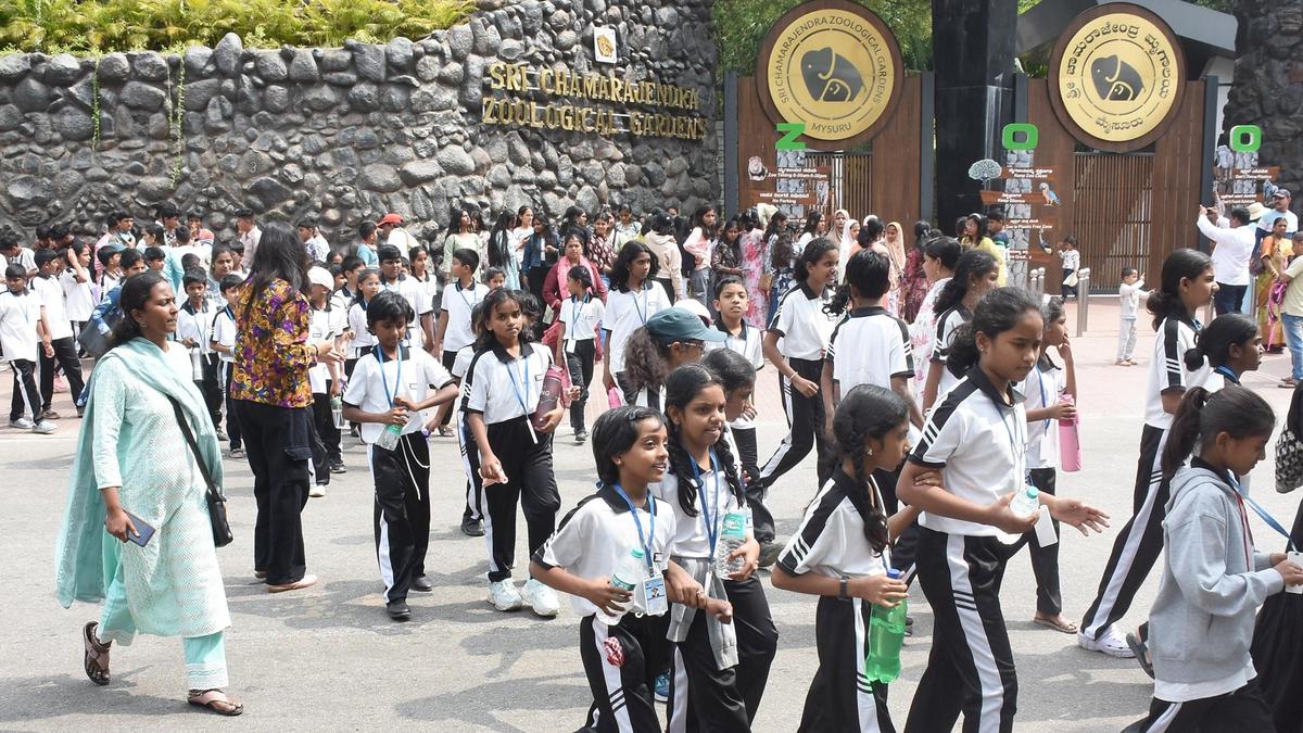 Children’s Day: Mysuru Zoo, Dasara expo offer free entry to children
