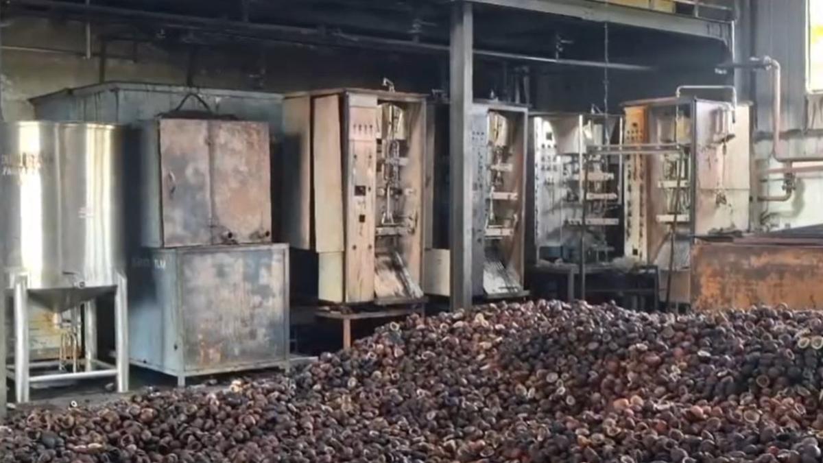 Several tonnes of copra gutted as oil mill catches fire near Pollachi
