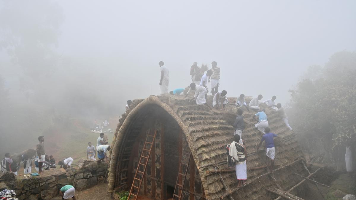 Toda tribes of The Nilgiris re-thatch their sacred temple with a rare grass