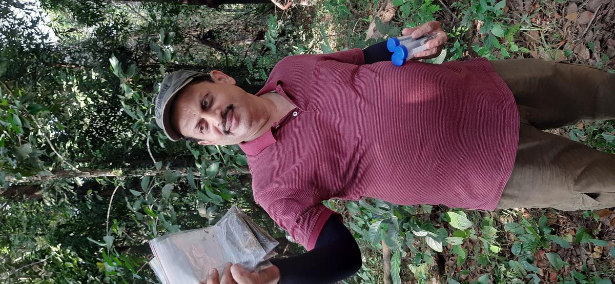Rare initiative: Zoological Survey of India conducts faunal diversity ...
