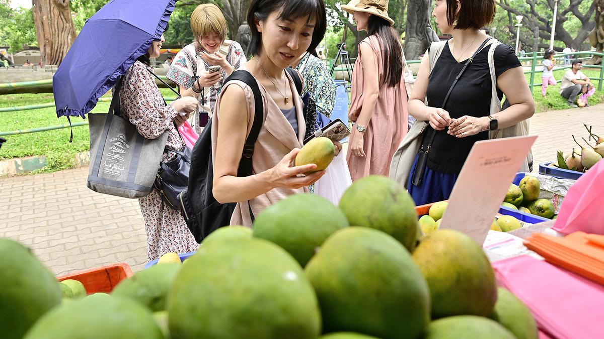 Around 500 tonnes of mangoes sold at Mango Mela in Bengaluru, online sales portal Karsiri revamped