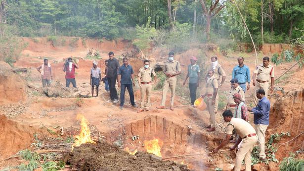 Police set ablaze 6,643 kg of seized ganja