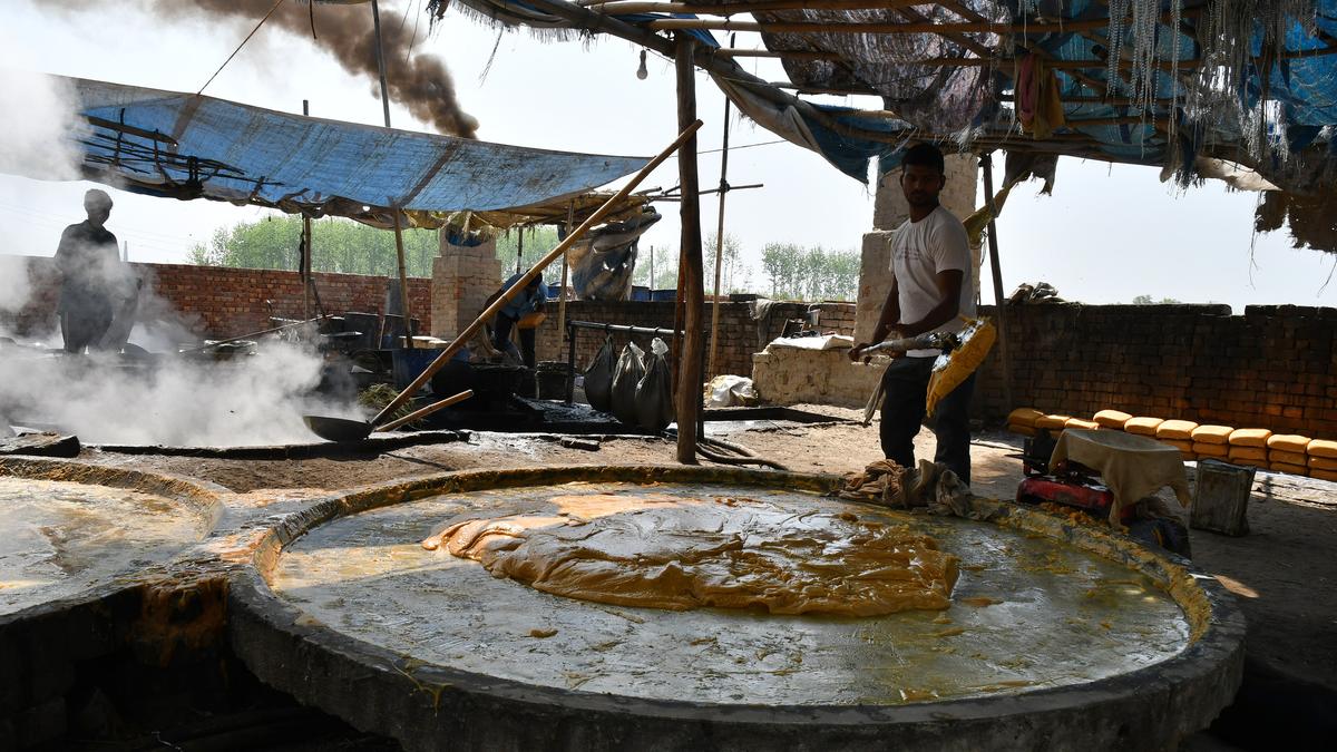 Nearly 30 tonnes of GI-tagged jaggery from U.P.’s Muzaffarnagar exported to Bangladesh