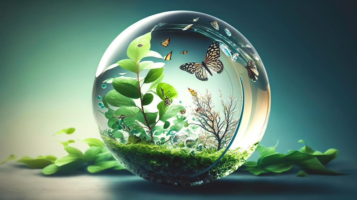 encourage-interactions-with-nature-the-hindu