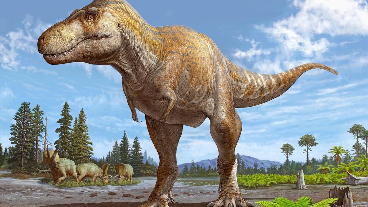 Scientists conclude New Mexico fossil is new Tyrannosaurus species