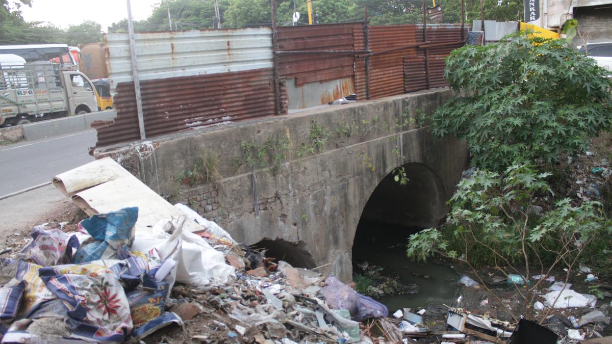 The true face of the Nungambakkam Canal