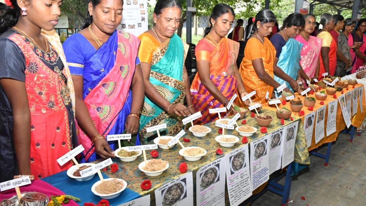 Traditional food festival held in Krishnagiri The Hindu