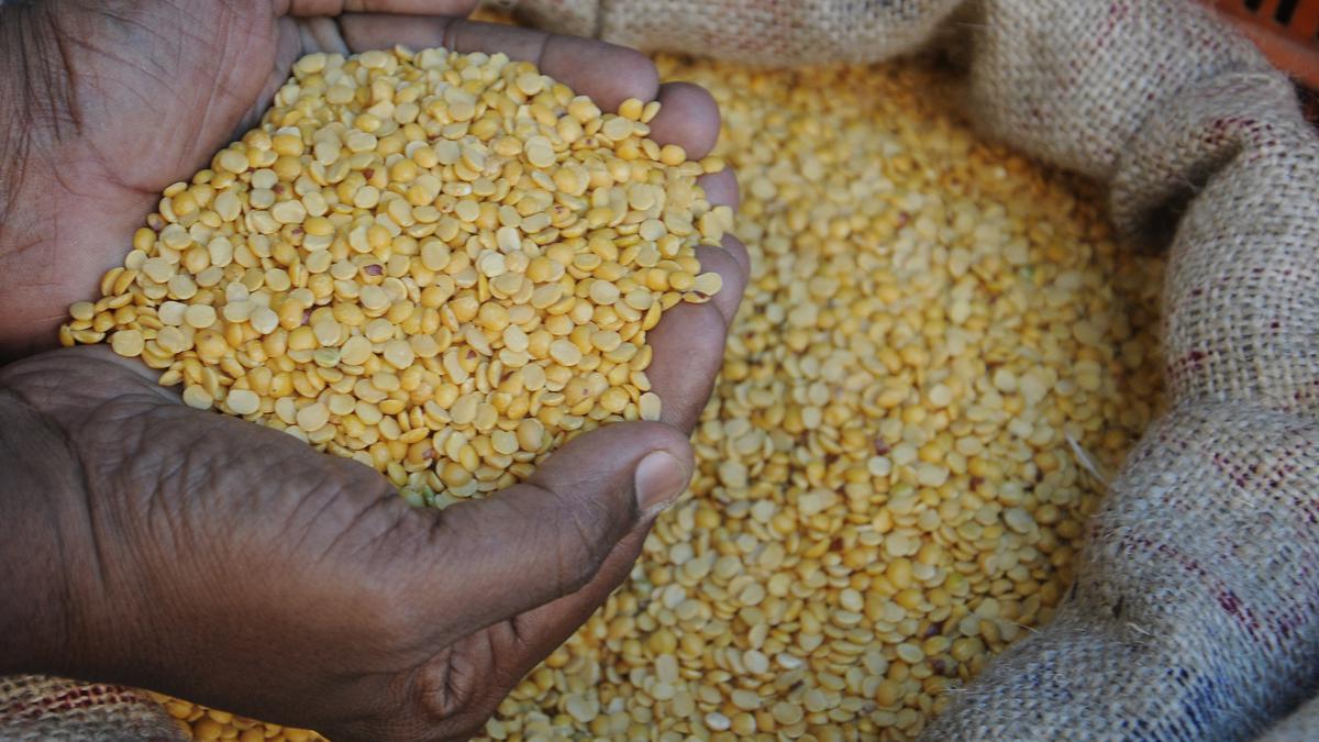 Prices of dal varieties shoot up in Tiruchi