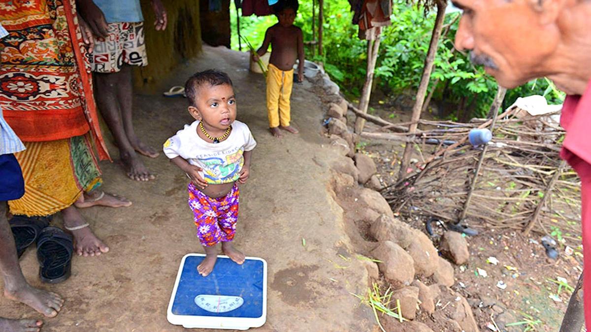 As ‘Ladki Bahin’ spends crores, malnutrition deaths persist in Melghat, Bombay HC asks State for explanation